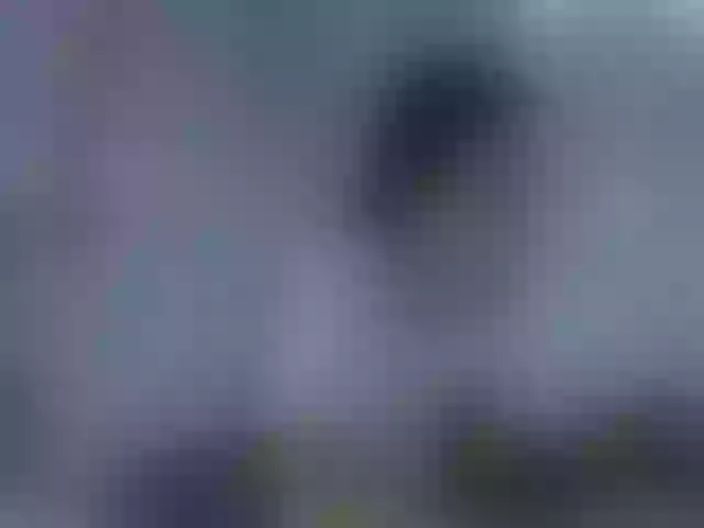 Live sex webcam photo for Ariana_ss #273978218