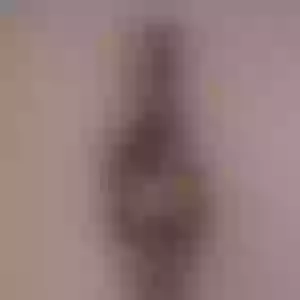 Live sex webcam photo for Ashley_Gree #291828493