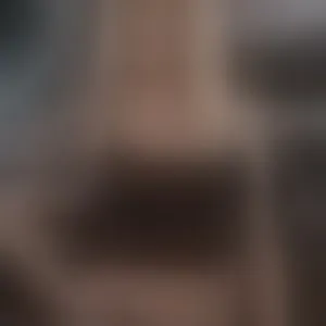 Live sex webcam photo for AshlynnStorm #292819818