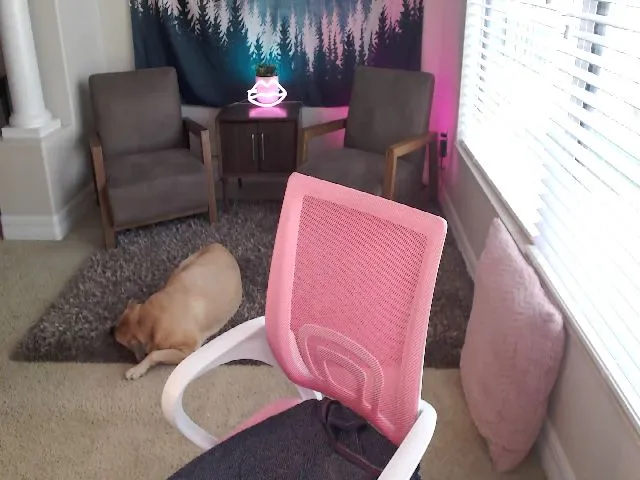 Live sex webcam photo for AtomicMilf #272553473