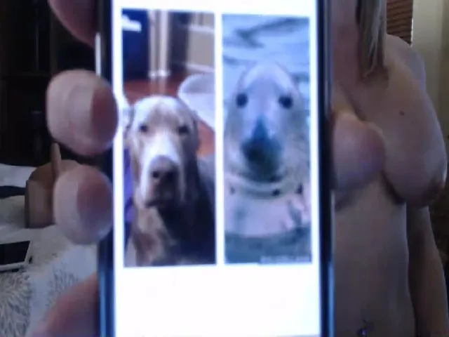 Live sex webcam photo for Autumn_Blonde #272724301