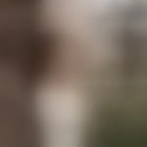 Live sex webcam photo for Avrora_lew_ #292722849