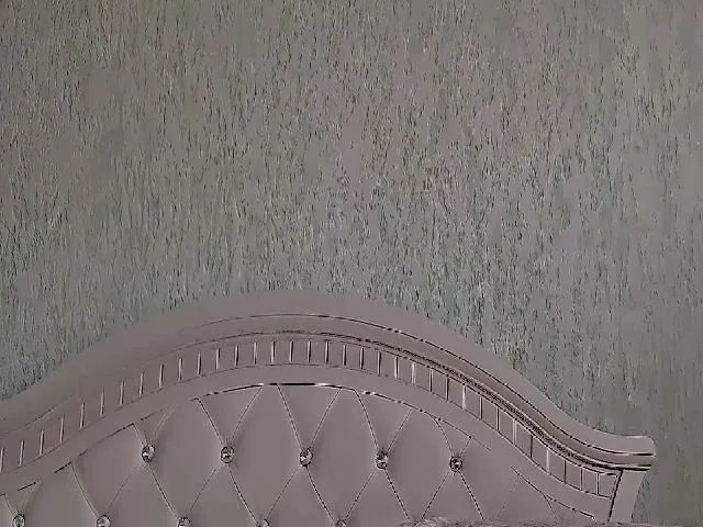 Live sex webcam photo for BeankaV #272787756