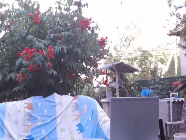 Live sex webcam photo for BeankaV #273888055