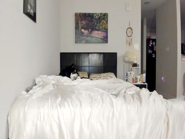 Live sex webcam photo for Belphoebe #271861609