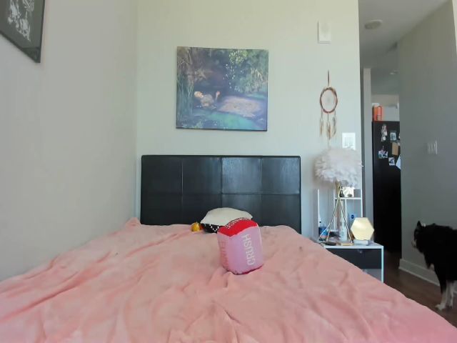 Live sex webcam photo for Belphoebe #272268622