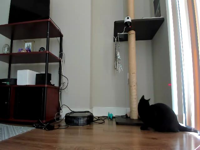 Live sex webcam photo for Belphoebe #273077448