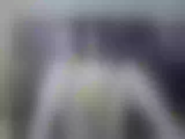 Live sex webcam photo for Bibityna #273297954
