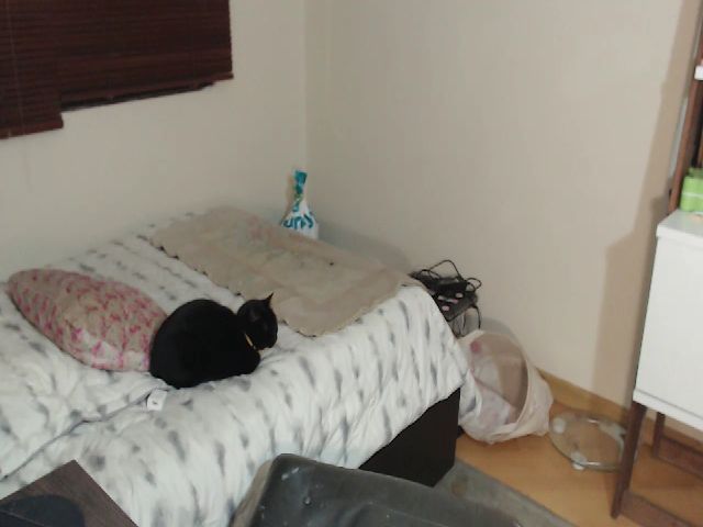 Live sex webcam photo for Biiigbooty_ #272495711