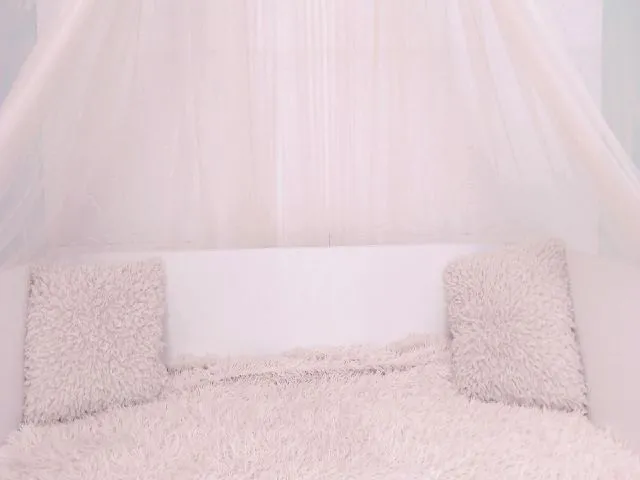 Live sex webcam photo for BijouCeline #273746199