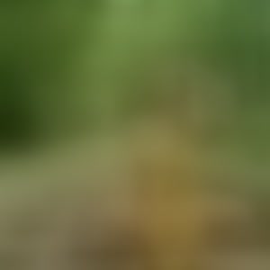 Live sex webcam photo for BlondeVenom