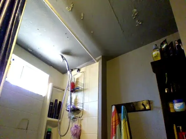 Live sex webcam photo for BooBuggBailey #272600191