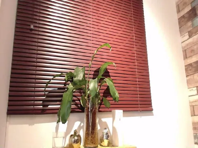 Live sex webcam photo for Brenda_Nova #272059137