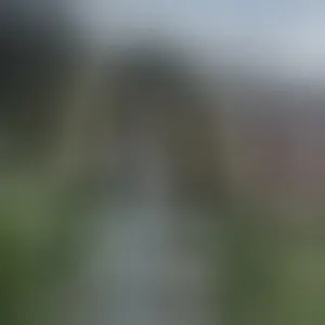 Live sex webcam photo for CamiLatinAss