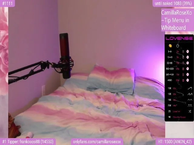 Live sex webcam photo for CamillaRoseXo #273334333