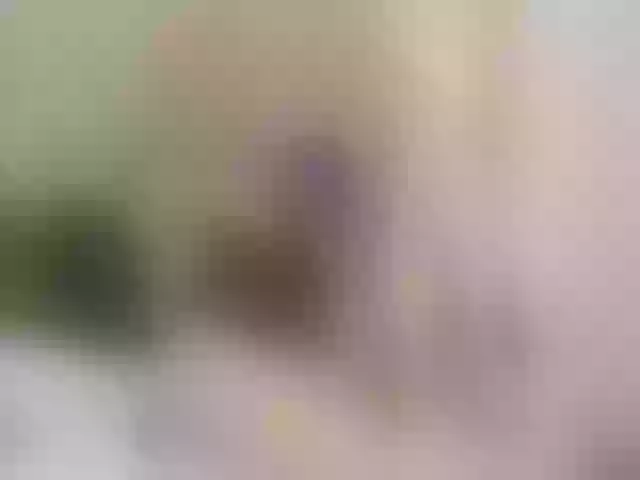 Live sex webcam photo for CandiceNova #273389896