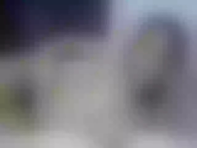 Live sex webcam photo for Carollyne_ #272267828
