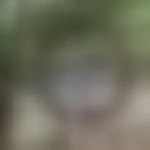 Live sex webcam photo for CassieMilrose #292774440