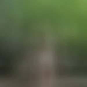 Live sex webcam photo for Celestte97 #292759025