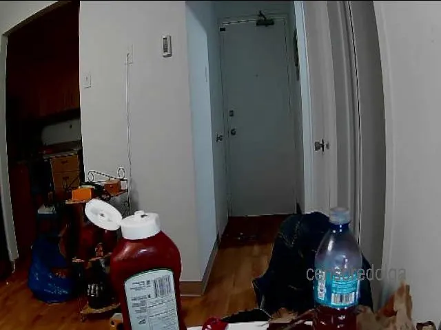 Live sex webcam photo for Censoredolga #273937156