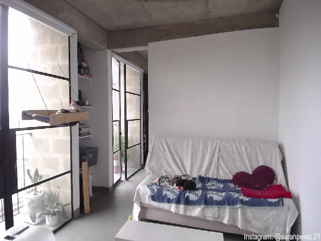 Live sex webcam photo for Cherrybunny21 #271699219