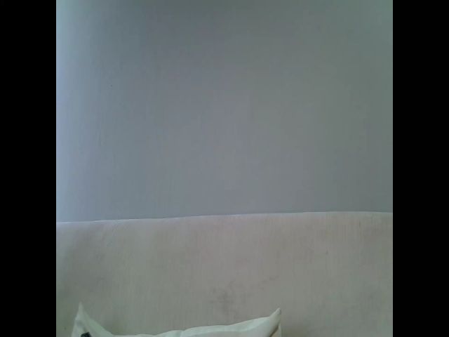 Live sex webcam photo for Ciara9 #274078608