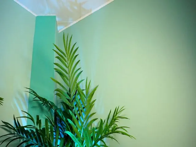 Live sex webcam photo for CindyleDoll #273936997