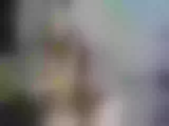 Live sex webcam photo for Cinnamon_love #274388142