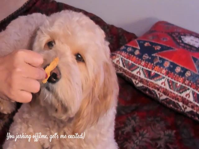 Live sex webcam photo for ClassyHotDame #271714032