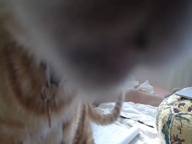 Live sex webcam photo for Coco_Rhino #274059385