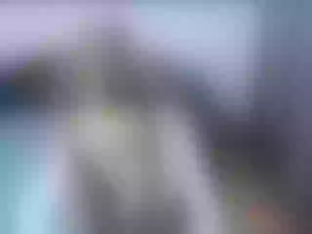 Live sex webcam photo for CrazyGilr333 #275041356