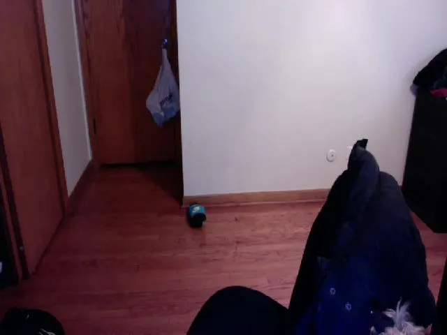 Live sex webcam photo for CubanaBoricua #272362672