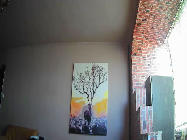 Live sex webcam photo for CurlyCherry #272267652