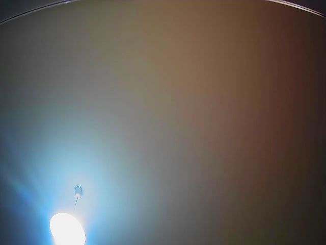 Live sex webcam photo for CurlyCherry #273519093