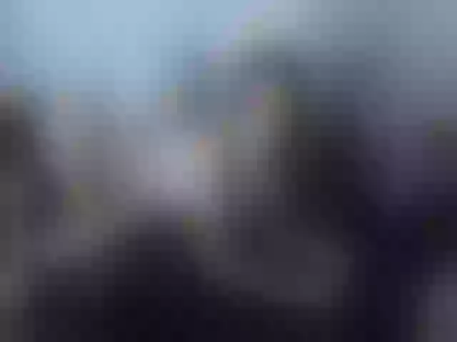 Live sex webcam photo for Dashybunny #273625849