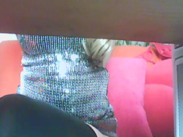 Live sex webcam photo for DivinaDea #272282517