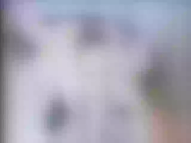 Live sex webcam photo for DreamGirl225 #272369935