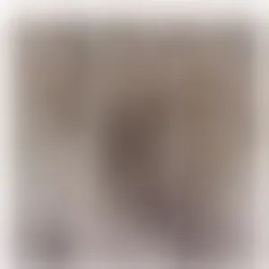 Live sex webcam photo for DreamSeanna #293306300