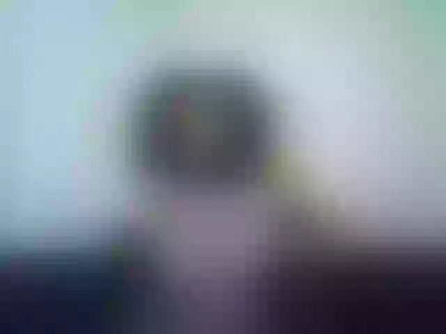 Live sex webcam photo for EleinaLove #272200161