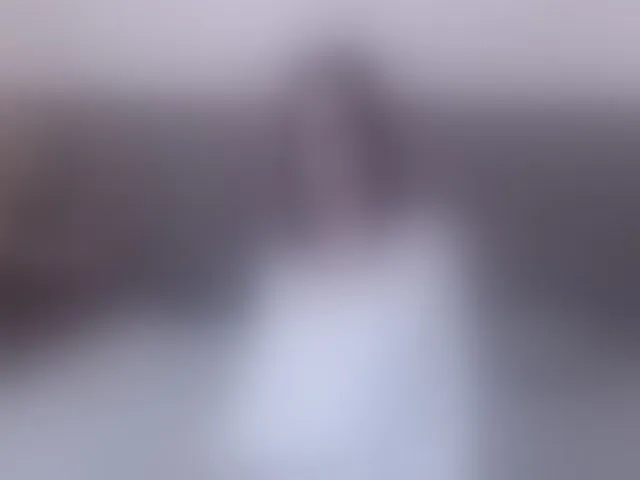 Live sex webcam photo for ElsaHines #274093185
