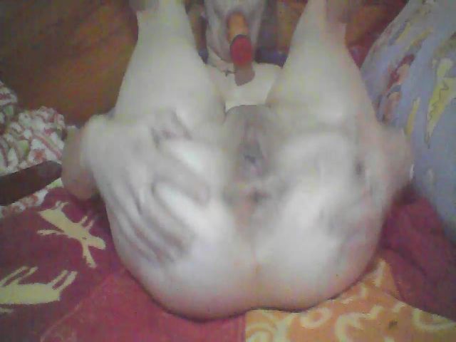 Live sex webcam photo for ElssaJohnson #272689666