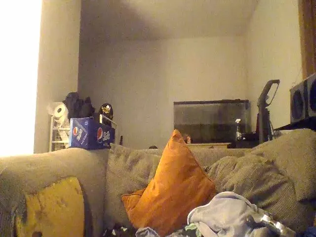 Live sex webcam photo for Emeraldlove23 #271977214