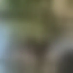 Live sex webcam photo for EmilyHart #292722591