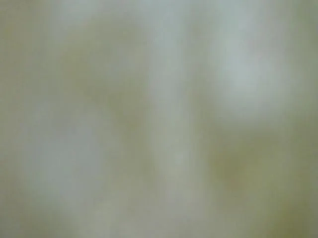 Live sex webcam photo for Emily_sweet10 #273170035