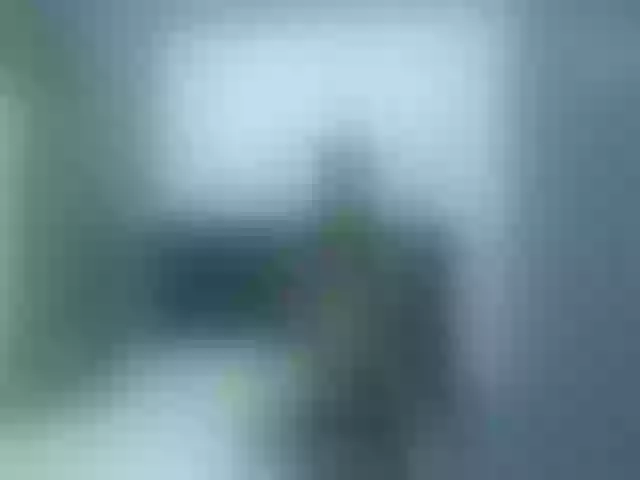 Live sex webcam photo for Emma_19_ #272639744