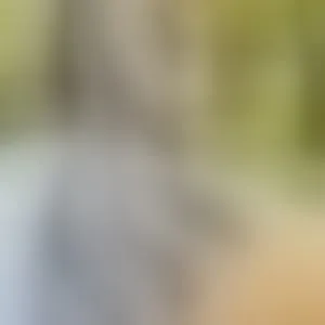 Live sex webcam photo for EmmaaStonne