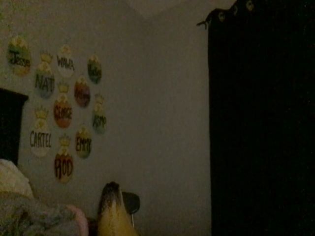 Live sex webcam photo for EmmyLove #273113396