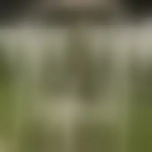 Live sex webcam photo for ErikaGold #292778862