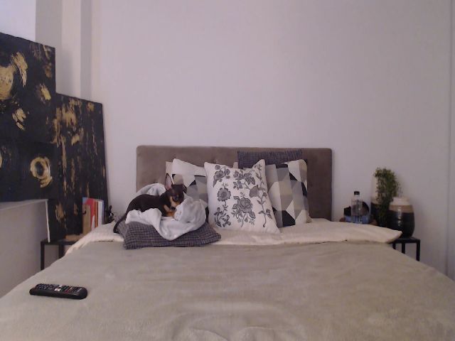 Live sex webcam photo for EroticEve #272862819