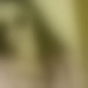Live sex webcam photo for Frioninny